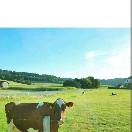 4 Erw. 1 Ki. Ski Entspannung Terasse Ausblick 슈말렌부르크 외부 사진